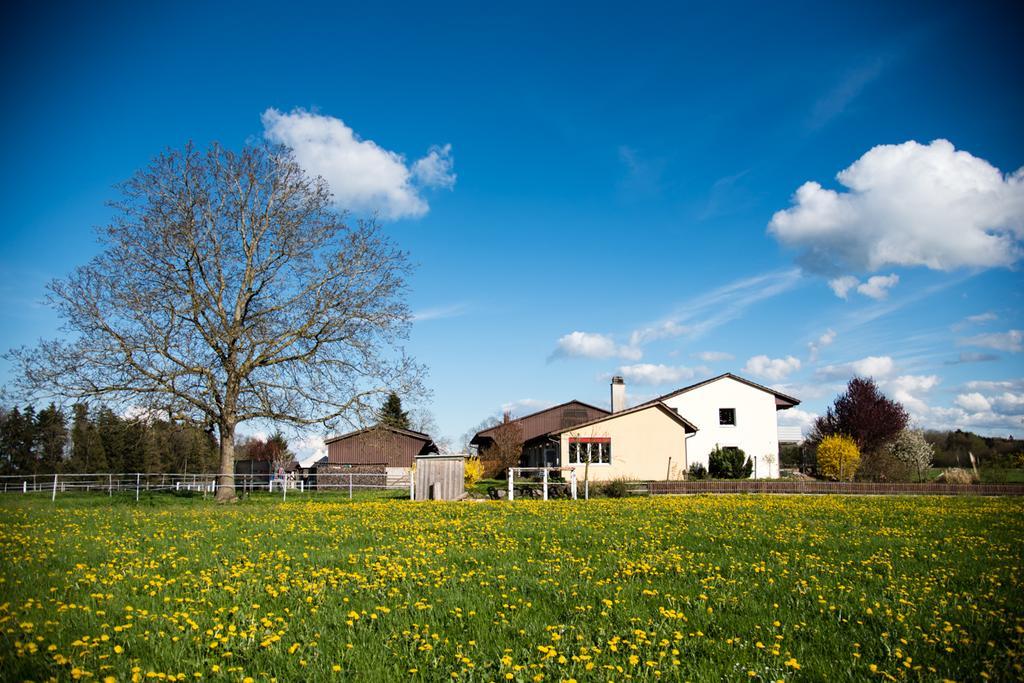 Hof-Tschannen Lengwil Zewnętrze zdjęcie