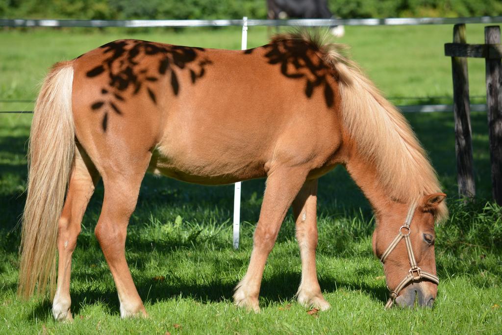 Hof-Tschannen Lengwil Zewnętrze zdjęcie